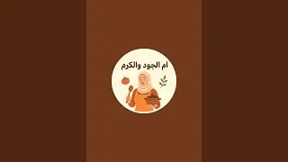 بدأت قناة 