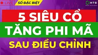 BÁO CÁO MẬT: 5 SIÊU CỔ TĂNG PHI MÃ SAU ĐIỀU CHỈNH  | Tài Trần