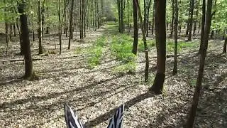 Reiten im Wald