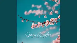 Spring Feelings