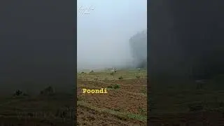 Poondi #poondi #kodaikanal #tourism #travel