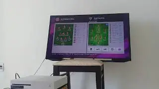 Bora leao