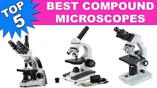 Top 5 Best Compound Microscopes 2020