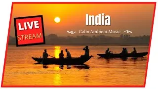 India Live Stream Scenery,India TV Background,India  Landscapes,India  Screensaver,Scenic Relaxation