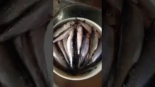 9/23/22 Fresh Muikku fish & it's eggs..Love it! Let's cook them😋 #fishegg #fish #muikku #shorts