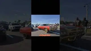 Kandy '72 Donk on gold 26