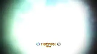 Skylanders Imaginators Tidepool vs Doomlander Pistolero