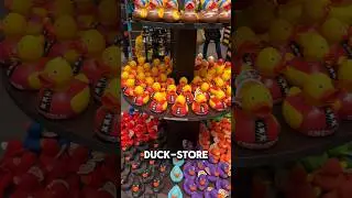 Местный Duck-Store в Амстердаме🦆🇳🇱 #travel #путешествия #vlog #amsterdam