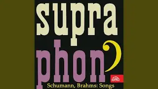 Myrthen. The Cycle Songs (Myrthen) , Op. 25 - Was will die einsame Tr&auml;ne
