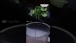 Refreshing Mint Lime Juice: A Perfect Summer Drink | #shorts