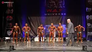 WAF Universe 2025 Overall Bodybuilding  #bodybuilder #wabba #sports #bodybuilding #olympia #WAF