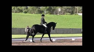 ENSW Southern Cross Newcomer Hack over 16hh