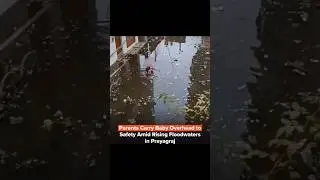 Prayagraj Floods: Man Swims With Newborn Held Above Head #prayagraj #upfloods #viralvideo #shorts