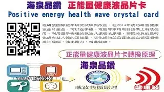 血流速比較