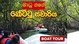 මාදු ගගේ සවාරිය| Sri Lanka Nature Tour