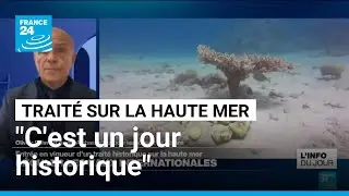 Traité sur la haute mer : 