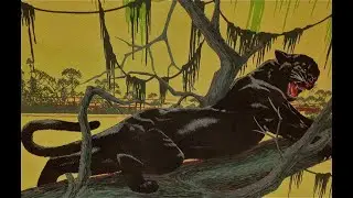 JUNGLE GROOVE - Madlib / MF DOOM / Quasimoto Type Beat