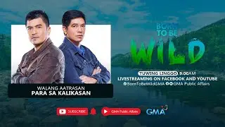 Born to be Wild: (January 18, 2026) LIVESTREAM