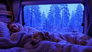 Dark Night Thunderstorm Sounds with Heavy Rain for Calm and Restful Sleep