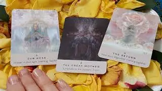 The Rose Pocket Oracle