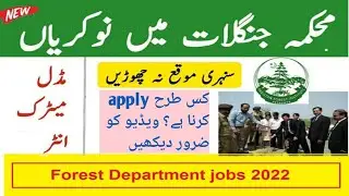 Forest Department Jobs 2023/Earningworld