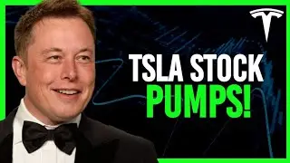 What Can Pump Tesla's Stock Price to $300 this Year?