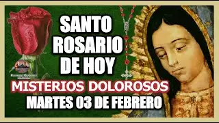 SANTO ROSARIO DE HOY A LA VIRGEN DE GUADALUPE : MISTERIOS DOLOROSOS MARTES 03 DE FEBRERO DE 2026.
