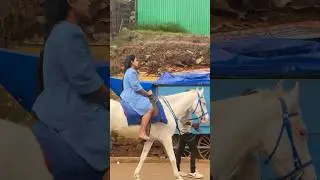 #horseriding at Ooty boat house #ooty #ootytravelvlog #shortsfeed #youtubeshorts #boathouse #shorts