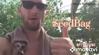 Занимайтесь тем, что больше всего нравится ...  Выращивания растений метод гидропоники