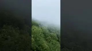 Самое отчаянное, что я когда либо делала 👇🏻 #vibes #вайб #shorts #nature #travel #summer #vibes