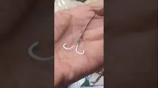Cara Ikat 2 Kail Bolak Balik Untuk Pancing Mancing Belanak Umpan Tepung Racikan Kering