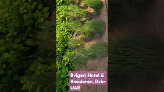 Best resort in UAE