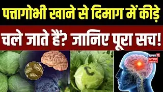 Cabbage Tapeworm: पत्तागोभी में क्या सच में कीड़ा होता है या ये है केवल भ्रम! | N18P | Medical News