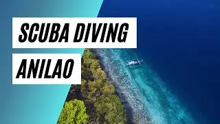 Scuba Diving Anilao with Aiyana Beach & Dive Resort