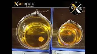 Xcelerate Tech Talk with The CEO
