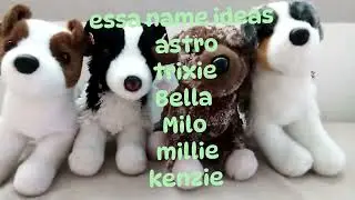 🎀✨Essa name ideas✨🎀