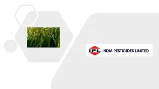 India Pesticides Ltd analysis #ipl #agrochemicals #fundamentalanalysis