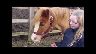 how to lead your pony/horse