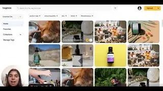 tagbox.io AI witchcraft - auto-tagging extravaganza!