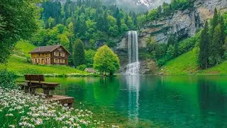 Music heals inner peace 🌿 Soothing nature sounds help relieve stress