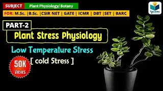 COLD STRESS/ LOW TEMPERATURE STRESS IN PLANTS || PLANT STRESS PHYSIOLOGY (PART-2) || CSIR NET