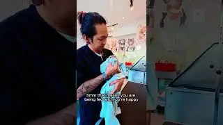 Кот Пикл из прачечной вернулся 🤍