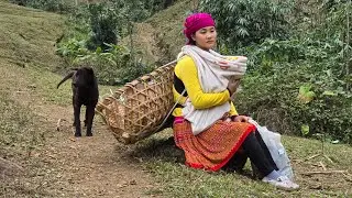 My journey to pick up baby 