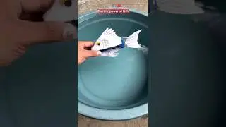 make DC fish water #cartoonbox #scienceevent #diy #craft #notecard #experiment#waterfish