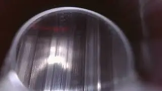Barrel cleaning, how should this barrel be cleaned? Please help!!!