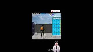 Live streaming of SB TENA GAMING