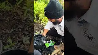 The side of pest control you usually don't see! Episode 1