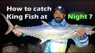 How to catch King Fish at Night !
