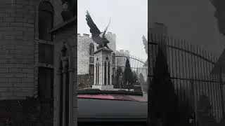 Летающие кабаны?