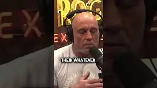Joe Rogan on having more respect for people who are fit #shorts